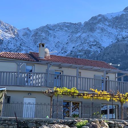 Zilia Casa Basgiu, Chambres Avec Balcon Et Table D'Hotes المظهر الخارجي الصورة